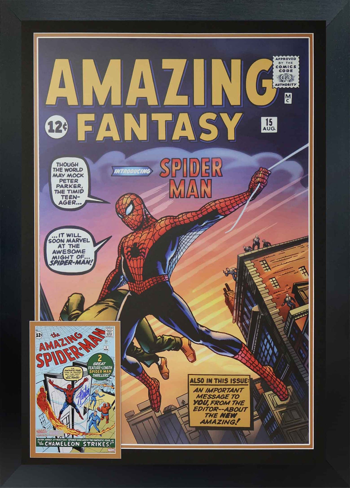 Spider Man First Appearance Framed Print Signed By