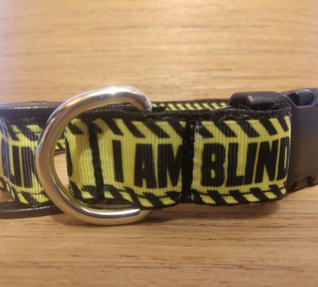 Leash/ Large/ Blind