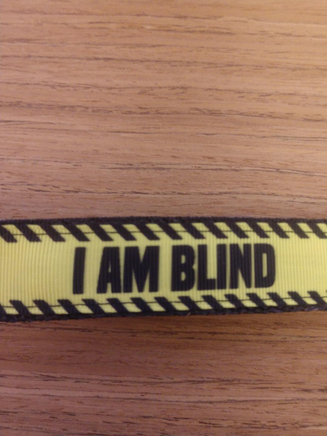 Leash/ Large/ Blind