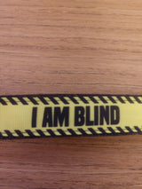 Leash/ Large/ Blind