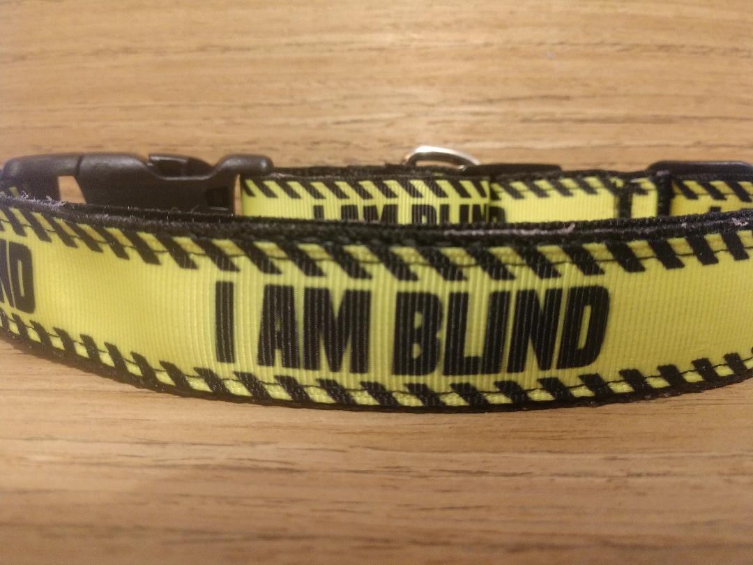 Leash/ Large/ Blind