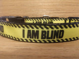 Leash/ Large/ Blind