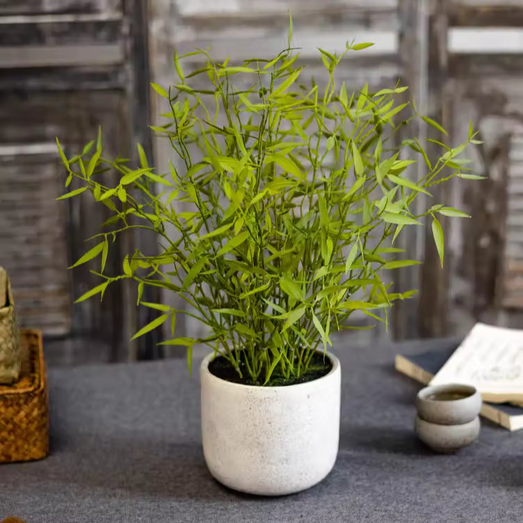 Realistic Mini Bamboo Leaf Potted Plant