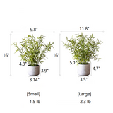 Realistic Mini Bamboo Leaf Potted Plant