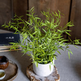 Realistic Mini Bamboo Leaf Potted Plant