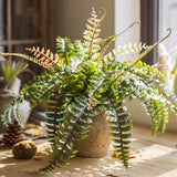 Artificial Faux Plant Big Rock Fern Stem 22" Tall