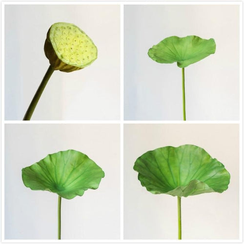 Artificial Faux Plant Lotus Seed and Leaf Stem Various Sizes