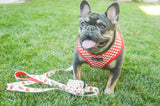 Drive-in Diner Comfort Leash